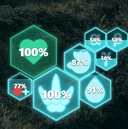 Hexagonal vitals cluster displayed by the overlay