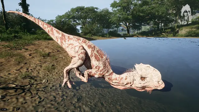 Capture de The Isle Evrima sur le serveur Isla Sonora, par Mokuren