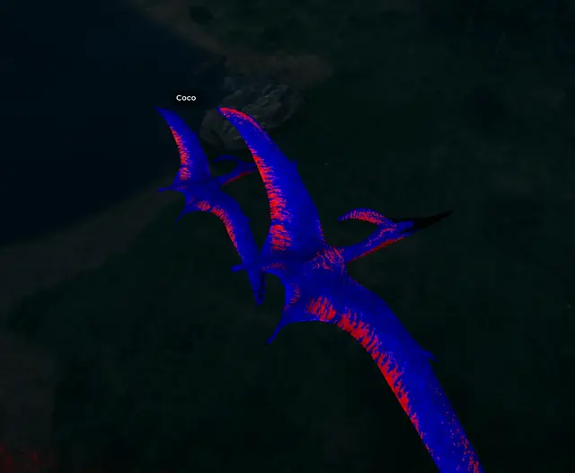Screenshot di The Isle Evrima sul server Isla Sonora, di petite tortue